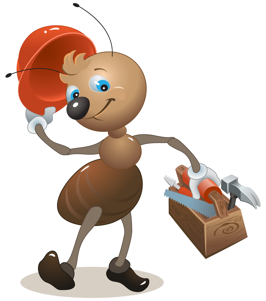 Termite